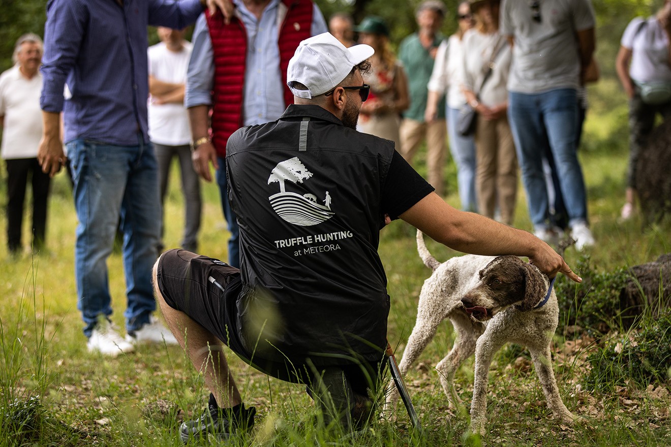 Κυνήγια Τρούφας και “Νύχτες στο Μουσείο”